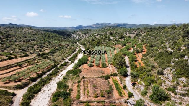 Finca/Country House for sale in Cervera del Maestre / Cervera del Maestrat - € 15,000 (Ref: 9319648)