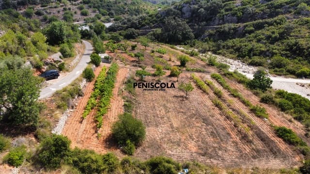 Finca/Country House for sale in Cervera del Maestre / Cervera del Maestrat - € 15,000 (Ref: 9319648)
