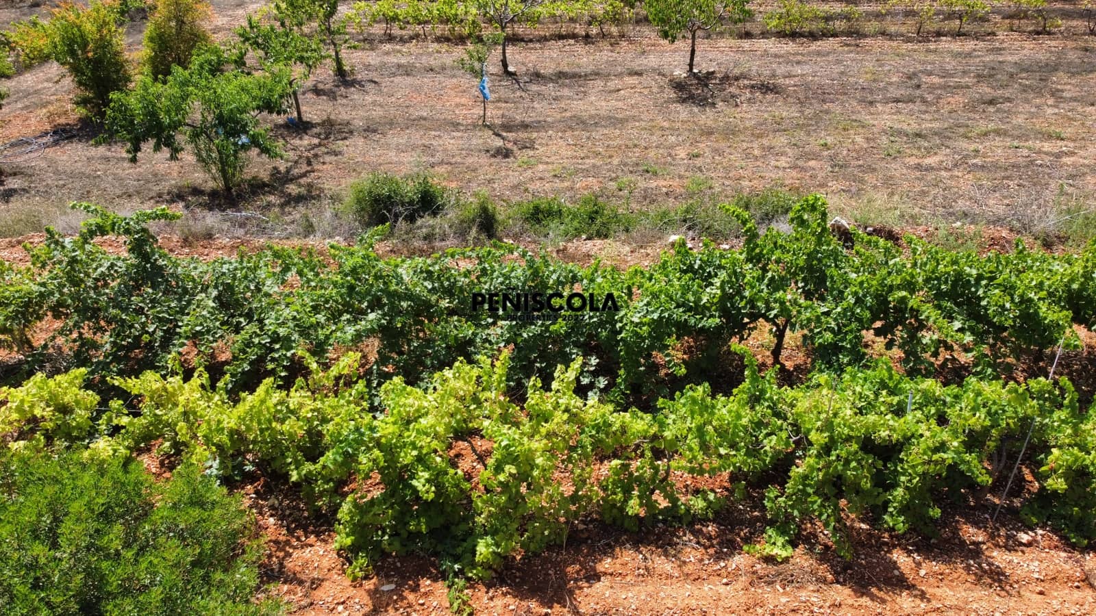 Finca/Landgut zu verkaufen in Cervera del Maestre / Cervera del Maestrat - 15.000 € (Ref: 9319648)