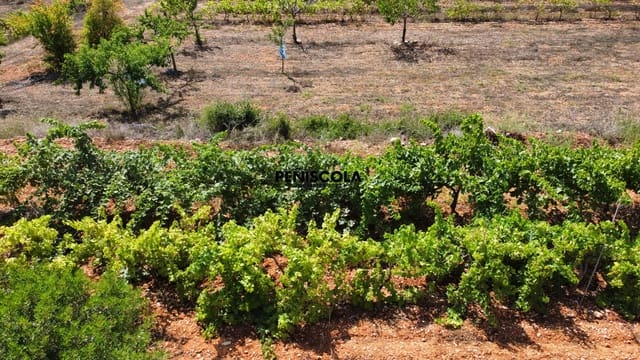 Finca/Country House for sale in Cervera del Maestre / Cervera del Maestrat - € 15,000 (Ref: 9319648)