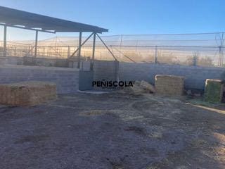 4 camera da letto Azienda in vendita in Alcalá de Xivert - 2.000.000 € (Rif: 9453599)