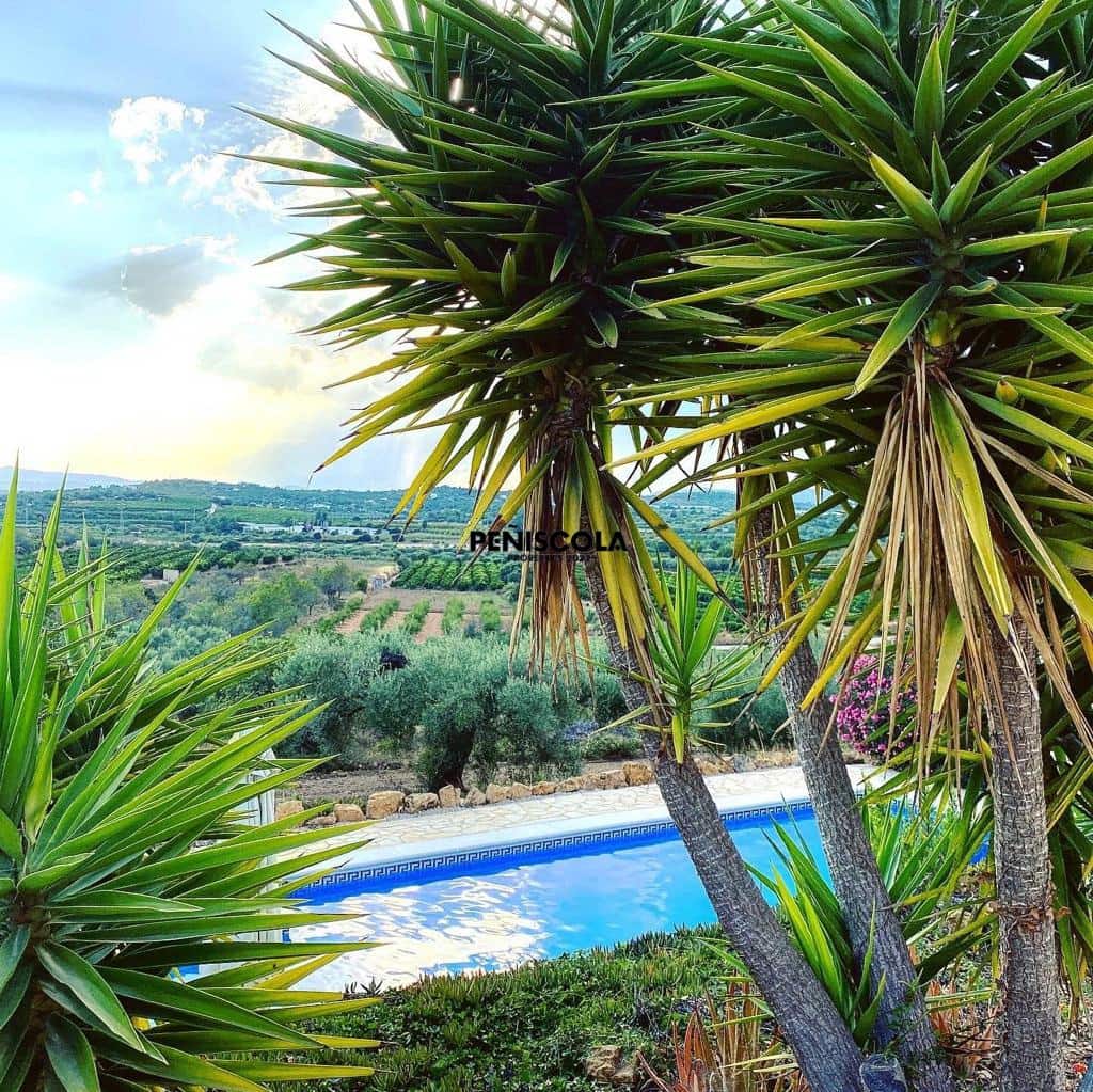 9 Zimmer Pension zu verkaufen in Calig mit Pool Garage - 755.000 € (Ref: 9534590)