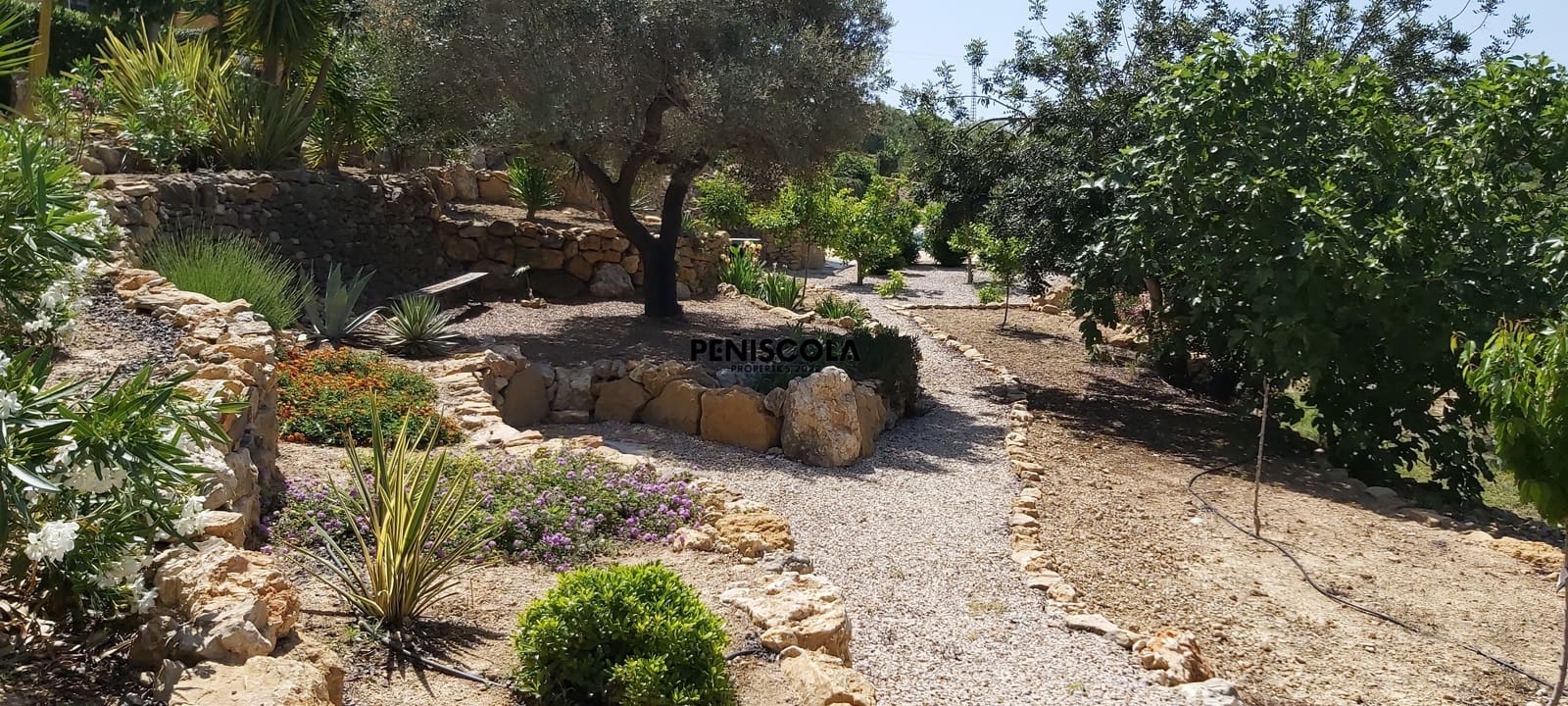 9 Zimmer Pension zu verkaufen in Calig mit Pool Garage - 755.000 € (Ref: 9534590)