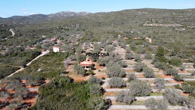 Finca/Landgut zu verkaufen in Santa Magdalena de Polpis - 67.000 € (Ref: 9598070)