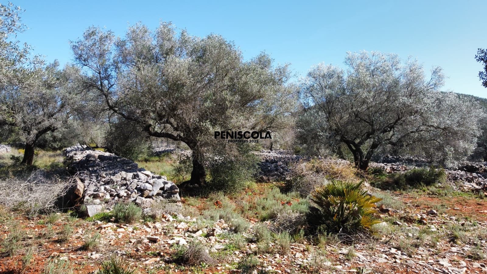 Finca/Landgut zu verkaufen in Santa Magdalena de Polpis - 67.000 € (Ref: 9598070)