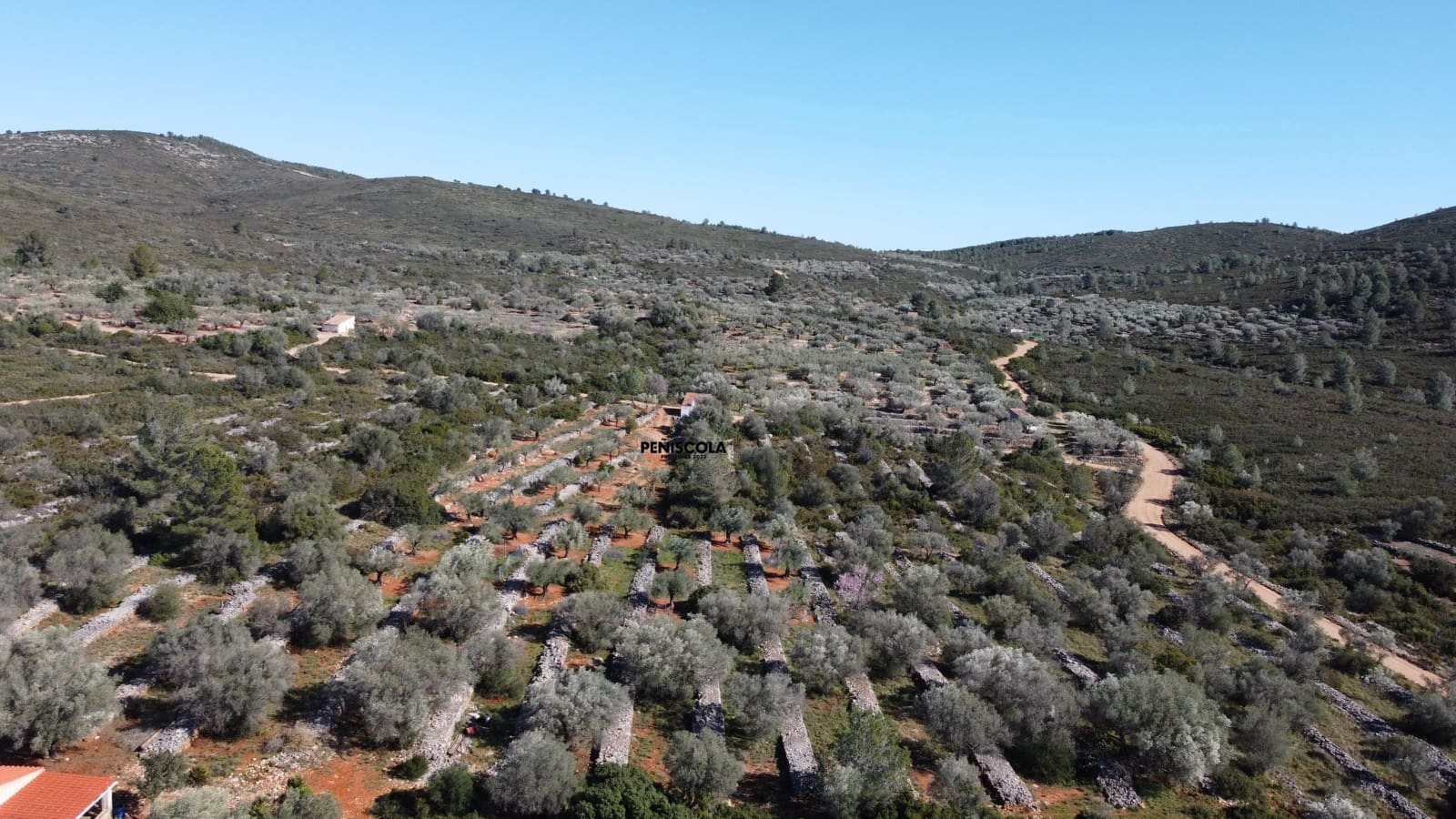Finca/Landgut zu verkaufen in Santa Magdalena de Polpis - 67.000 € (Ref: 9598070)