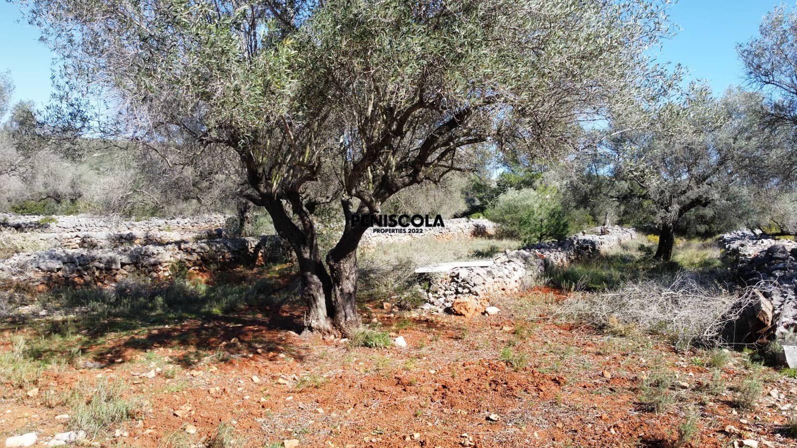 Finca/Landgut zu verkaufen in Santa Magdalena de Polpis - 67.000 € (Ref: 9598070)