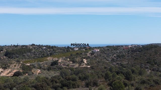 3 sypialnia Willa na sprzedaż w Cervera del Maestre / Cervera del Maestrat z basenem - 495 000 € (Ref: 9753455)