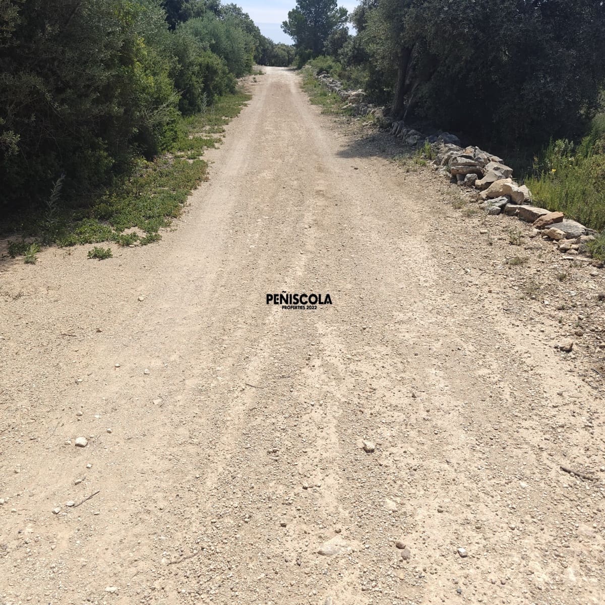 3 sypialnia Willa na sprzedaż w Cervera del Maestre / Cervera del Maestrat z basenem - 495 000 € (Ref: 9753455)