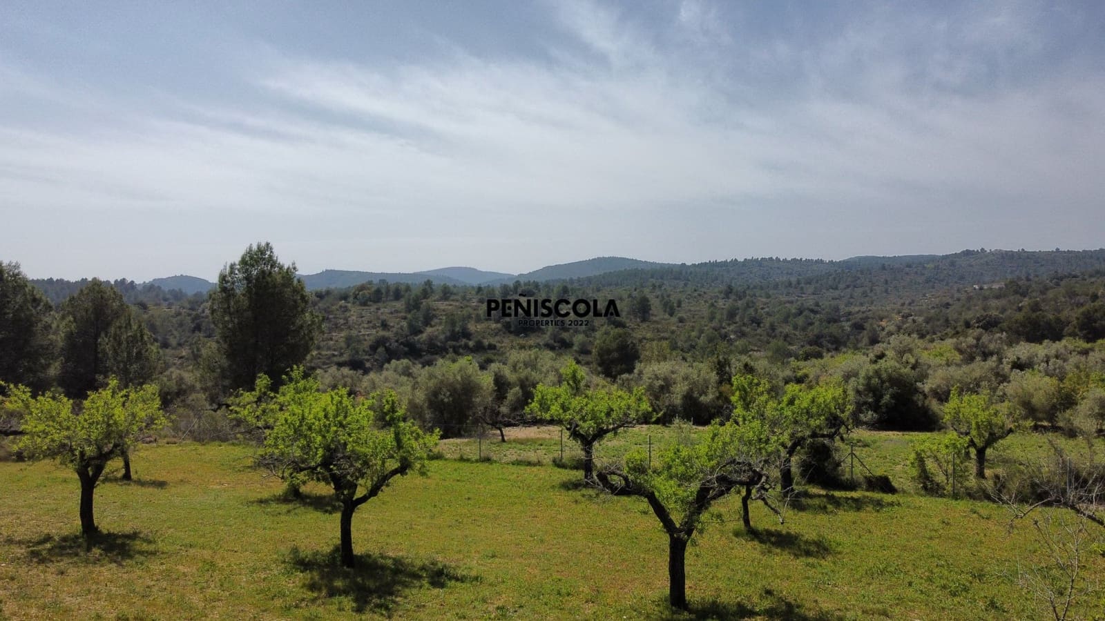 3 Zimmer Finca/Landgut zu verkaufen in Cervera del Maestre / Cervera del Maestrat - 179.000 € (Ref: 9774383)