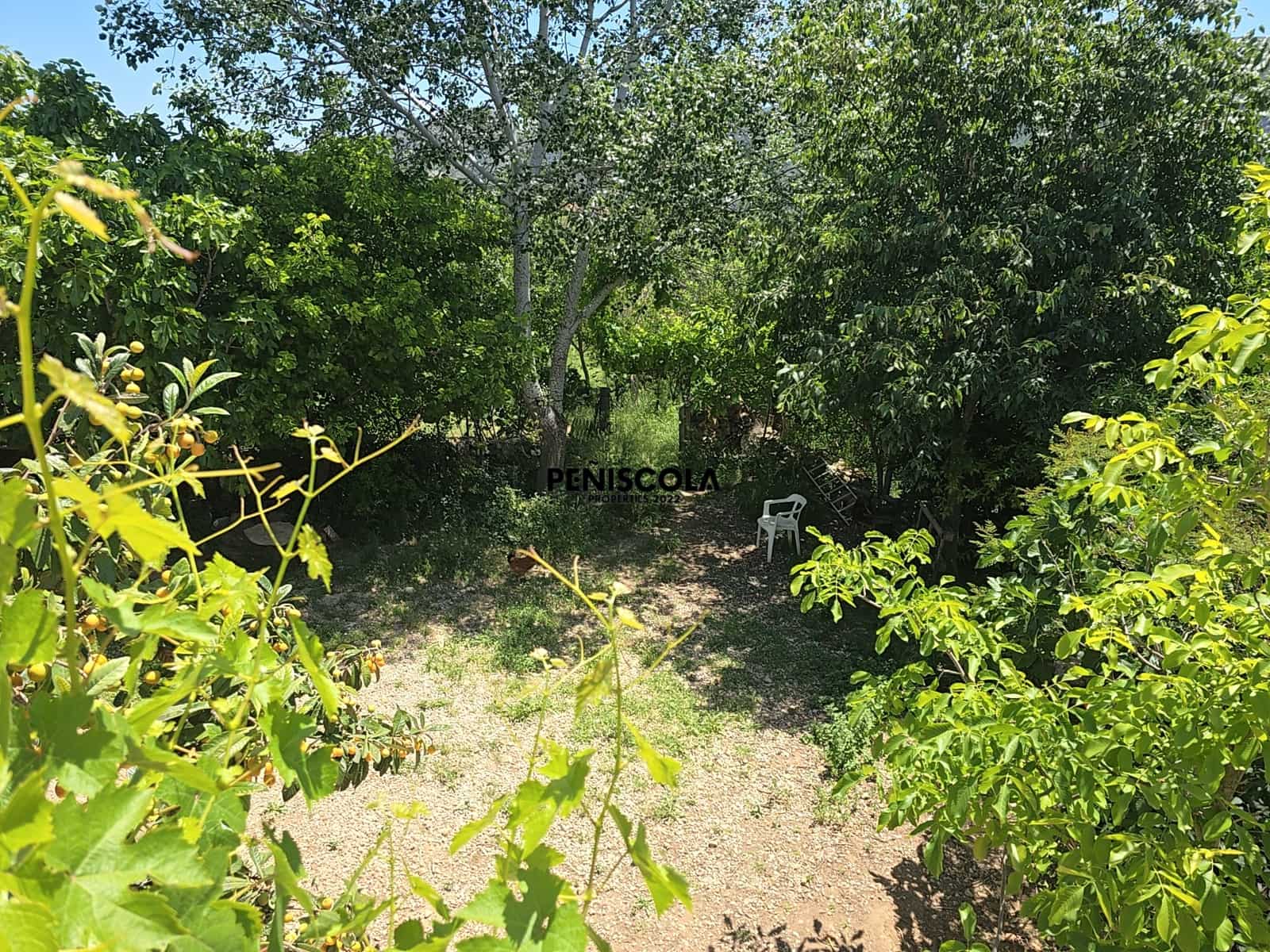 3 bedroom Finca/Country House for sale in La Torre d'En Besora - € 195,000 (Ref: 9882537)