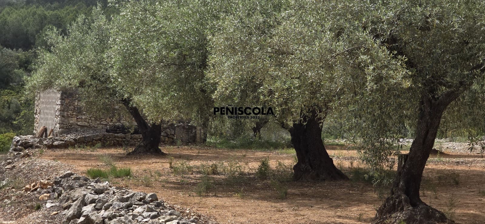 Finca/Country House for sale in Cervera del Maestre / Cervera del Maestrat - € 25,000 (Ref: 9914605)