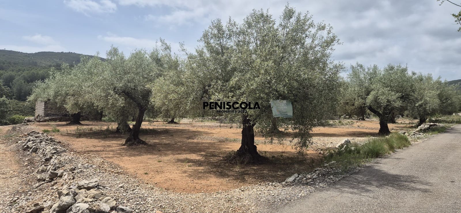 Finca/Country House for sale in Cervera del Maestre / Cervera del Maestrat - € 25,000 (Ref: 9914605)