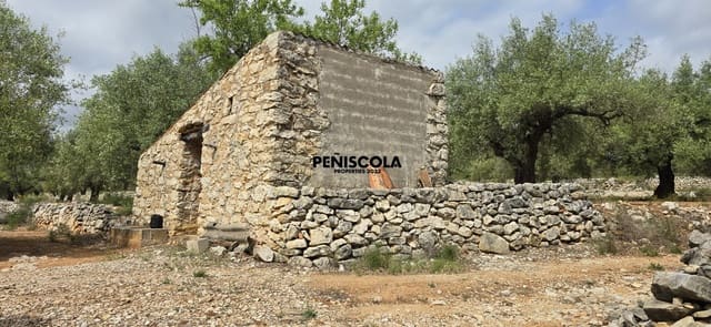 Finca/Country House for sale in Cervera del Maestre / Cervera del Maestrat - € 25,000 (Ref: 9914605)
