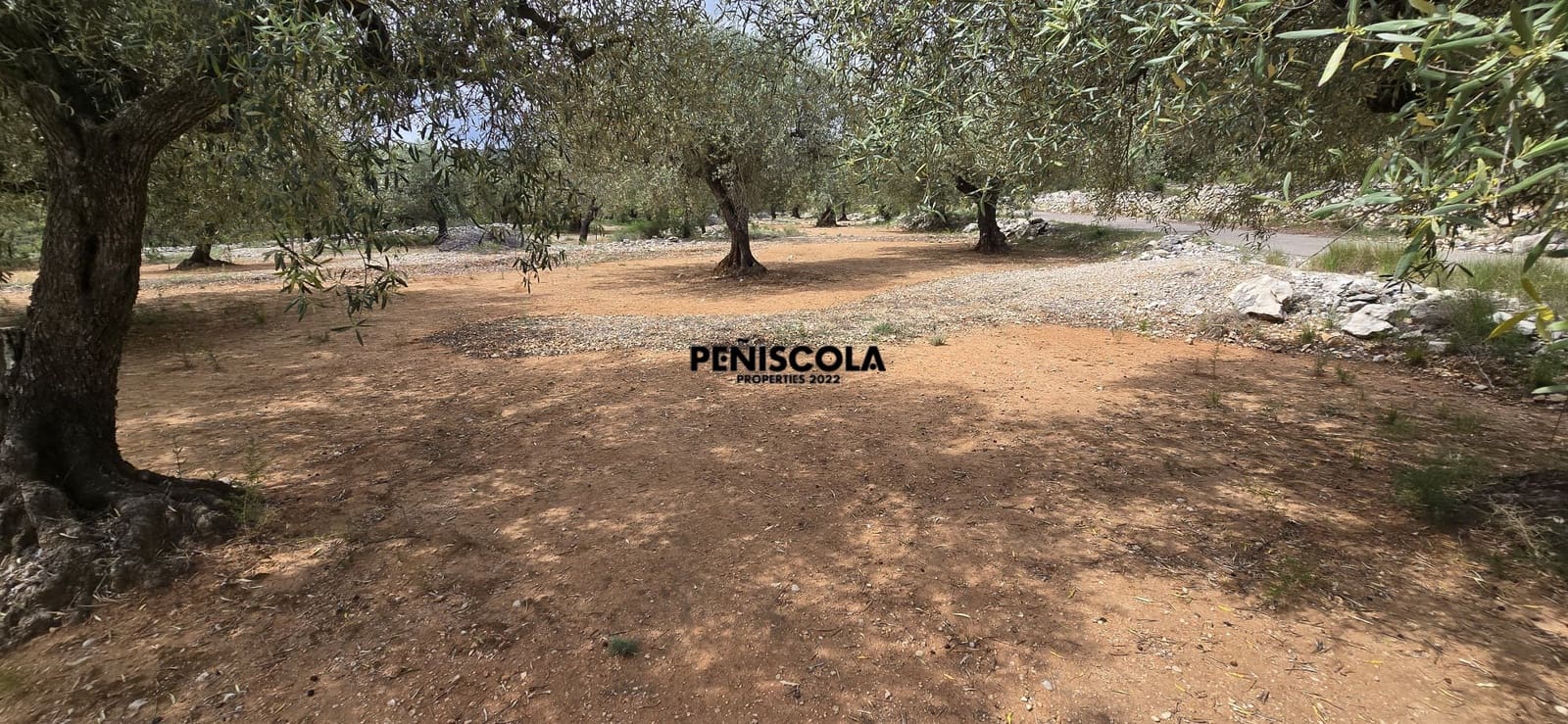 Finca/Country House for sale in Cervera del Maestre / Cervera del Maestrat - € 25,000 (Ref: 9914605)