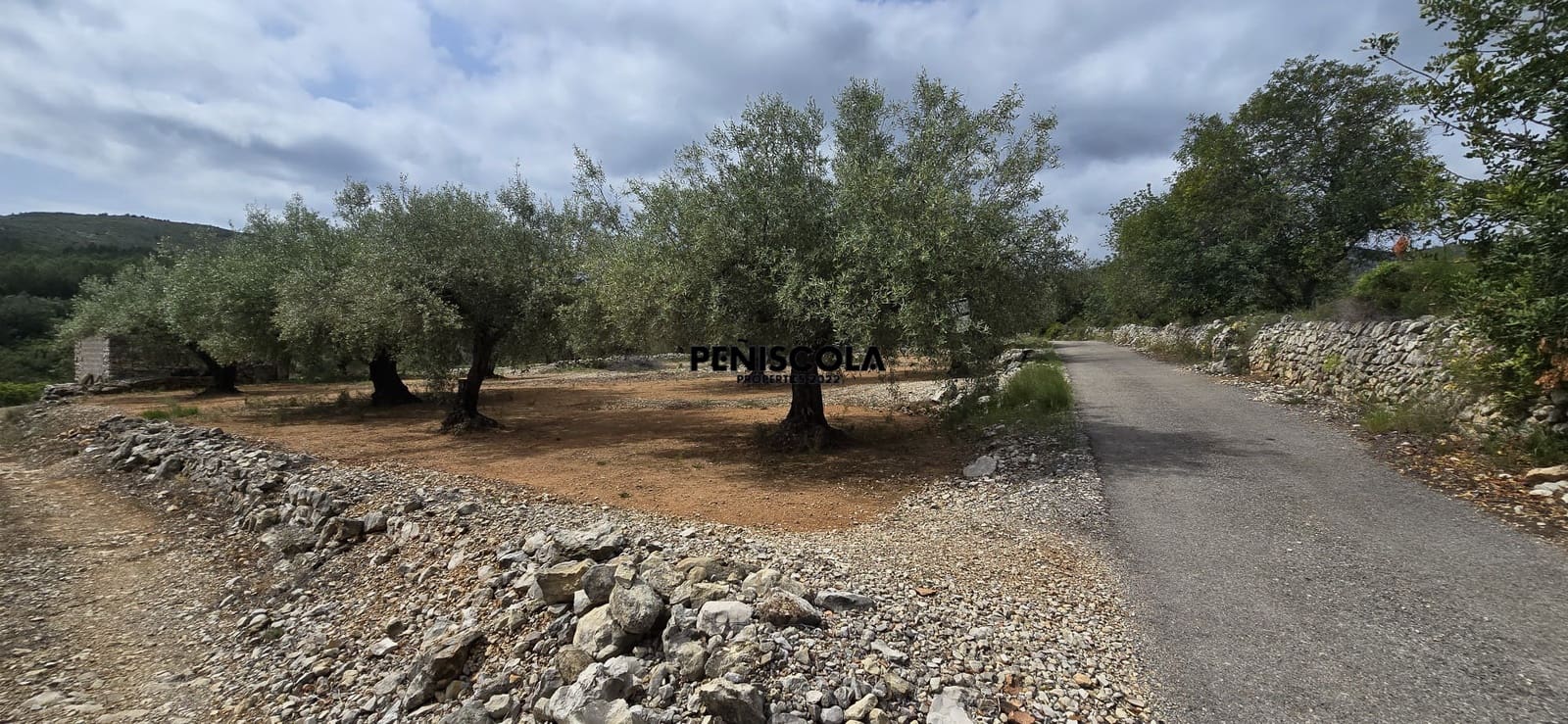Finca/Country House for sale in Cervera del Maestre / Cervera del Maestrat - € 25,000 (Ref: 9914605)