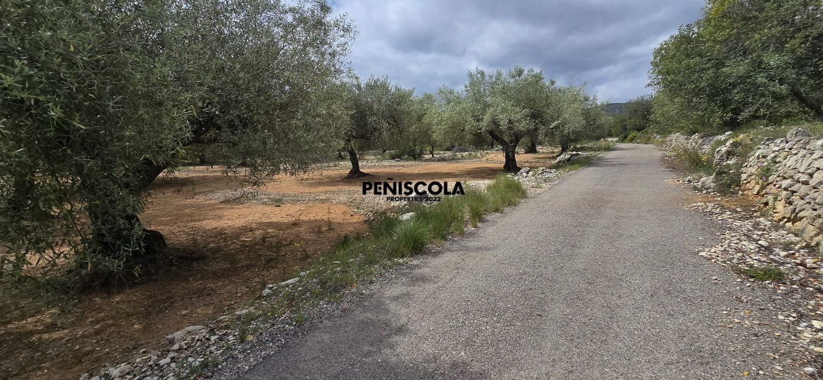 Finca/Country House for sale in Cervera del Maestre / Cervera del Maestrat - € 25,000 (Ref: 9914605)