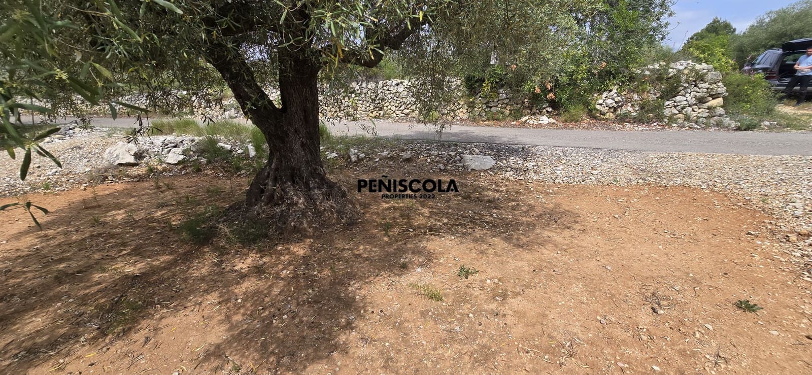 Finca/Country House for sale in Cervera del Maestre / Cervera del Maestrat - € 25,000 (Ref: 9914605)