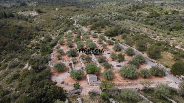Finca/Country House for sale in Cervera del Maestre / Cervera del Maestrat - € 25,000 (Ref: 9914605)