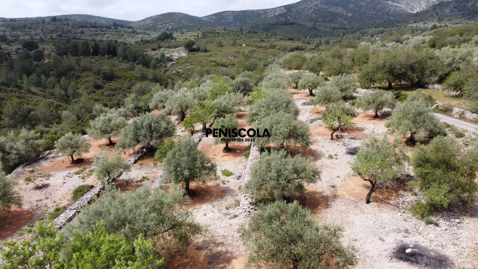 Finca/Country House for sale in Cervera del Maestre / Cervera del Maestrat - € 25,000 (Ref: 9914605)