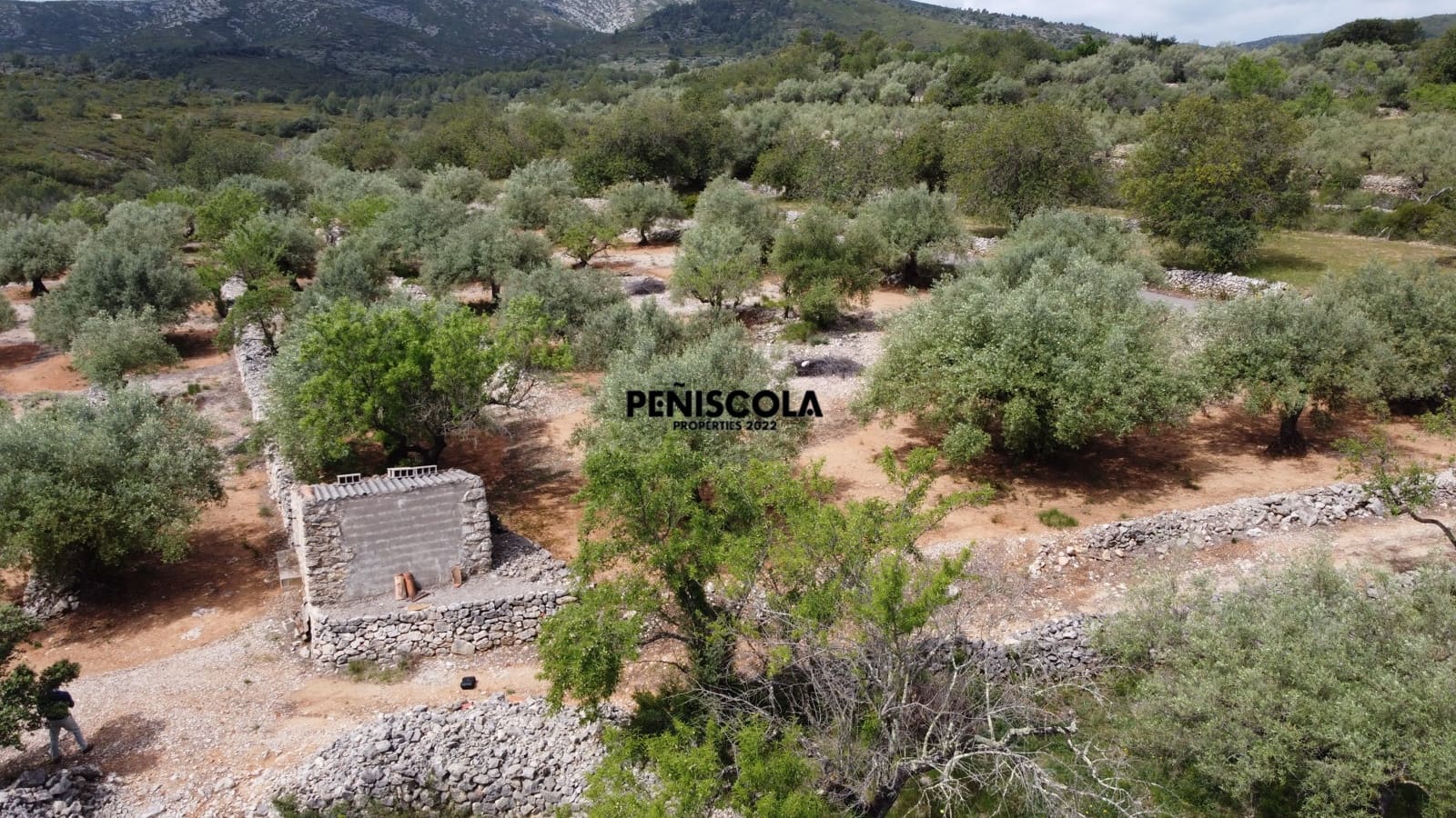 Finca/Country House for sale in Cervera del Maestre / Cervera del Maestrat - € 25,000 (Ref: 9914605)