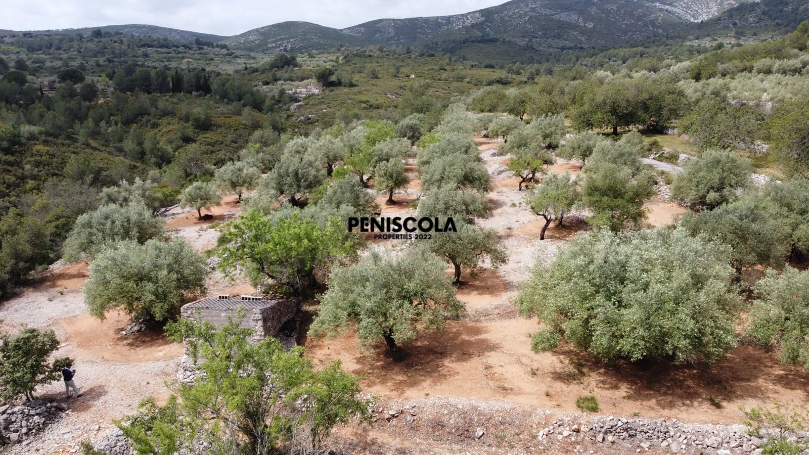 Finca/Country House for sale in Cervera del Maestre / Cervera del Maestrat - € 25,000 (Ref: 9914605)