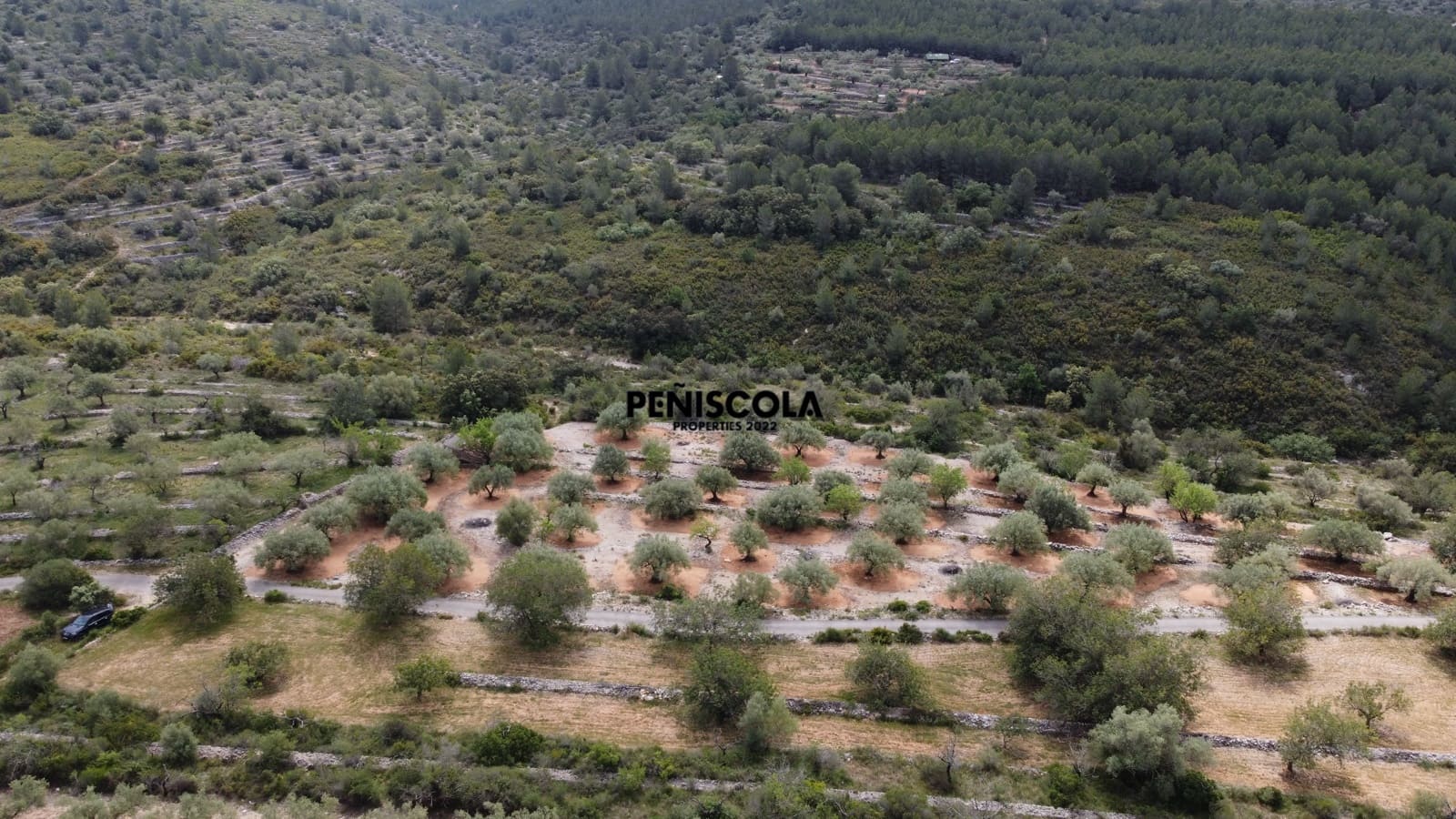 Finca/Country House for sale in Cervera del Maestre / Cervera del Maestrat - € 25,000 (Ref: 9914605)