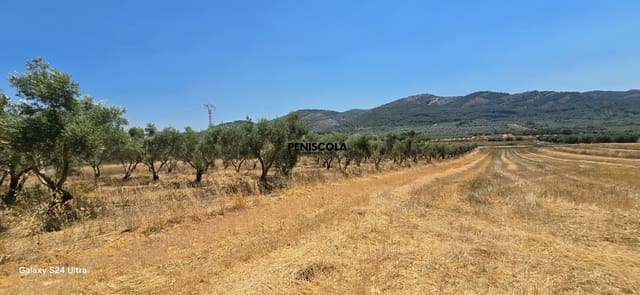 Finca/Landehus til salg i Sant Mateu - € 50.000 (Ref: 9965543)