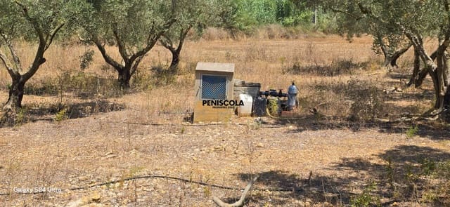 Finca/Landehus til salg i Sant Mateu - € 50.000 (Ref: 9965543)