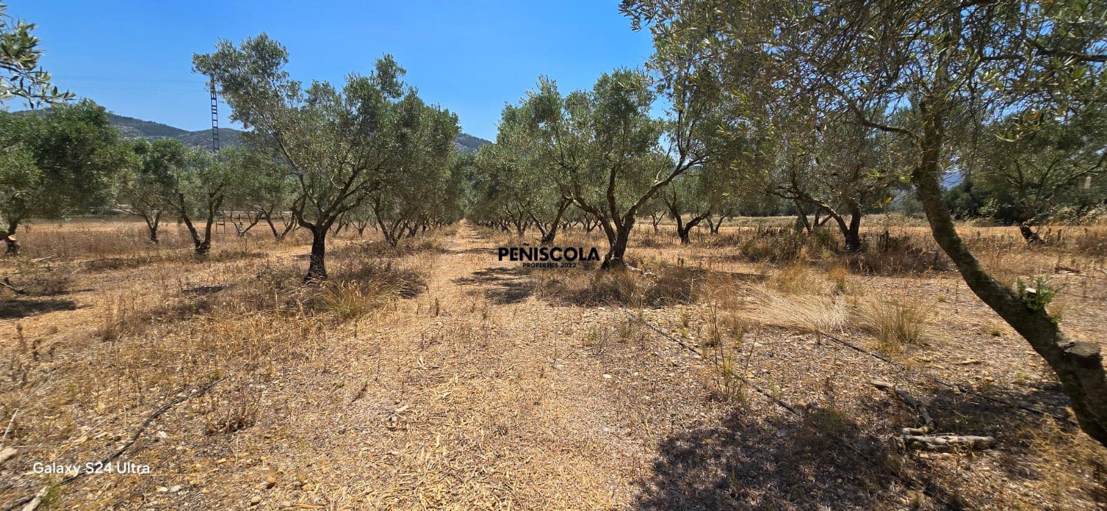 Finca/Country House for sale in Sant Mateu - € 50,000 (Ref: 9965543)