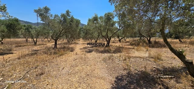 Finca/Landehus til salg i Sant Mateu - € 50.000 (Ref: 9965543)