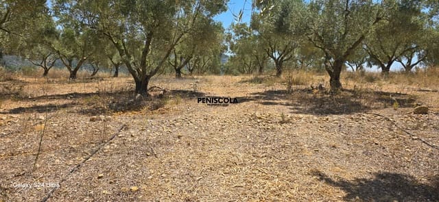 Finca/Landehus til salg i Sant Mateu - € 50.000 (Ref: 9965543)