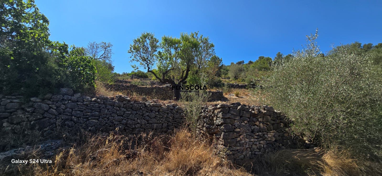 Finca/Casa di Campagna in vendita in Vall d'Alba - 65.000 € (Rif: 9999144)