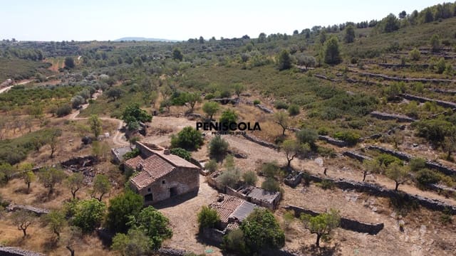 Finca/Casa di Campagna in vendita in Vall d'Alba - 65.000 € (Rif: 9999144)