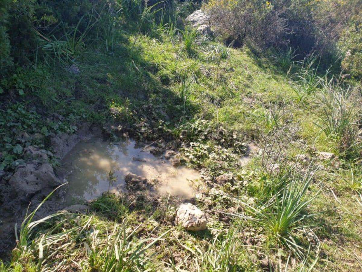 Tontti myytävänä paikassa Casares - 495 000 € (Ref: 4348981)