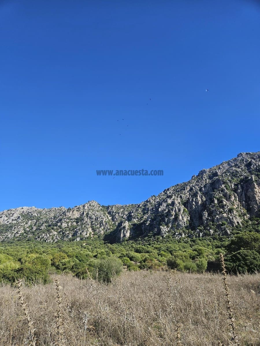 Tontti myytävänä paikassa Casares - 495 000 € (Ref: 4348981)