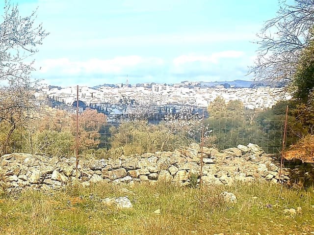 Ubebygd land til salgs i Ronda - € 195 000 (Ref: 9234876)