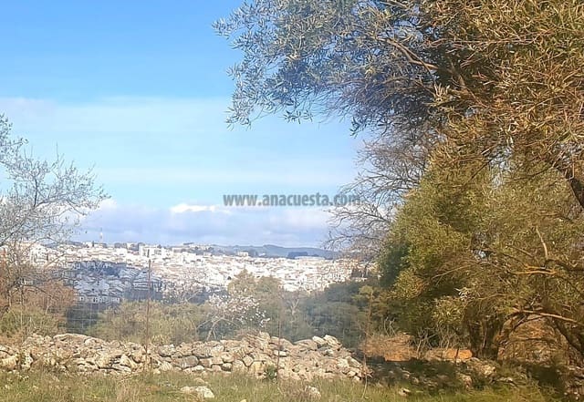 Ubebygd land til salgs i Ronda - € 195 000 (Ref: 9234876)