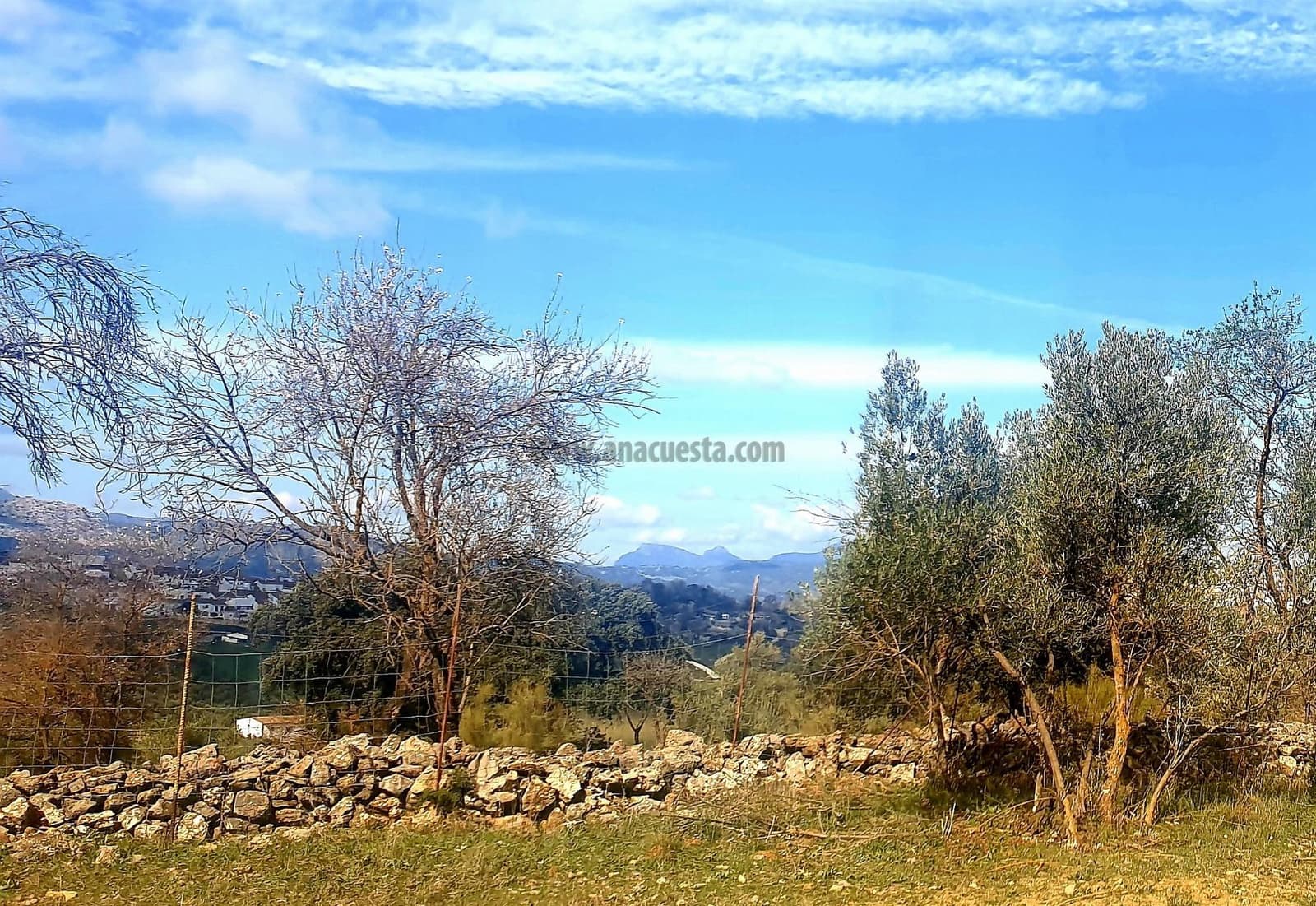 Rakentamaton maa myytävänä paikassa Ronda - 195 000 € (Ref: 9234876)