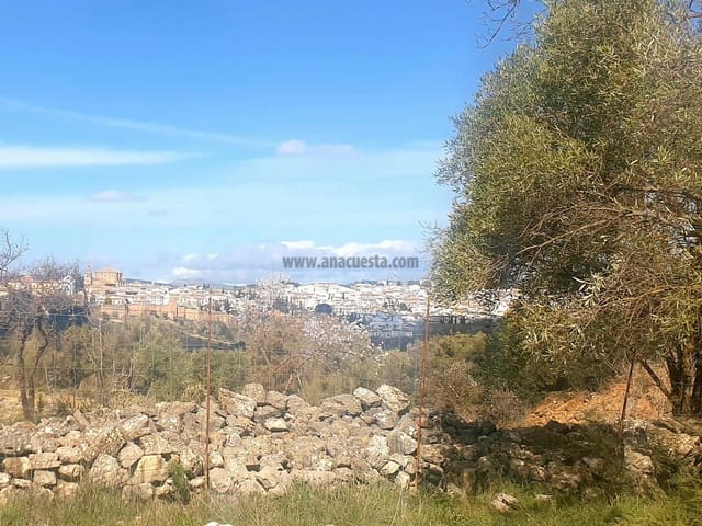 Ubebygd land til salgs i Ronda - € 195 000 (Ref: 9234876)