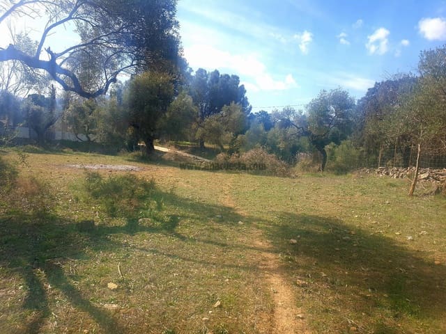 Ubebygd land til salgs i Ronda - € 195 000 (Ref: 9234876)
