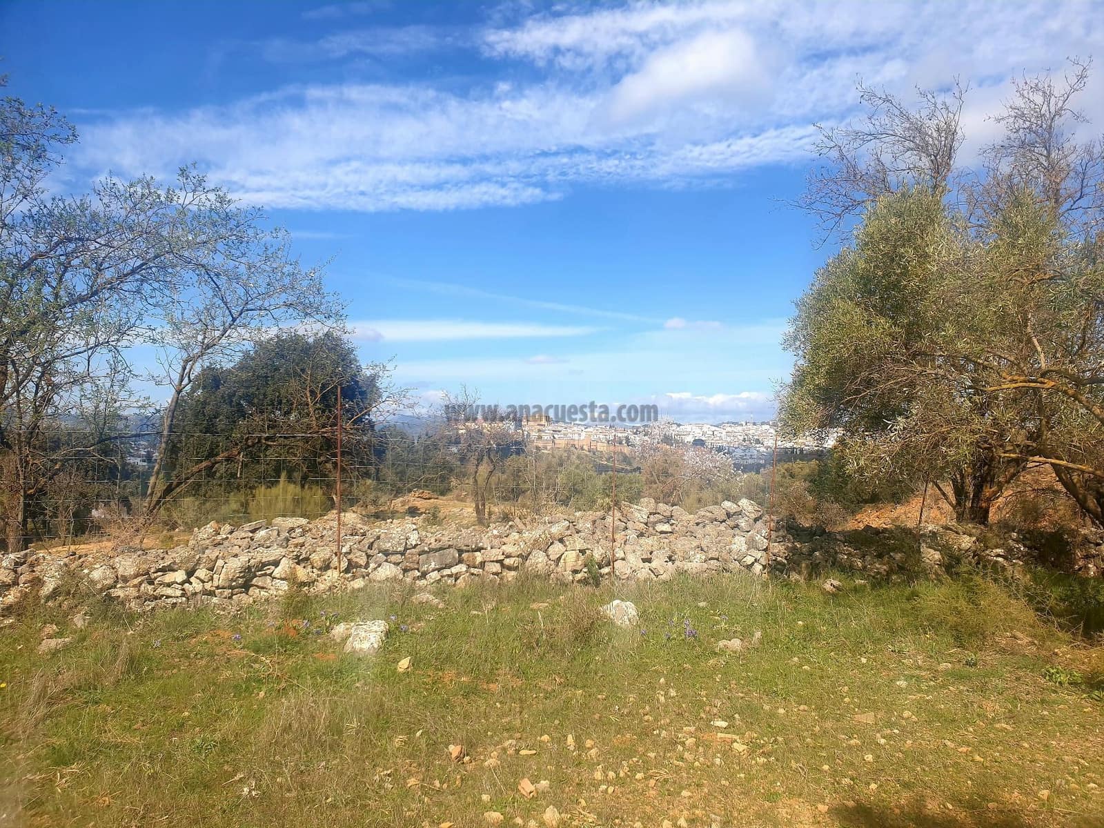 Rakentamaton maa myytävänä paikassa Ronda - 195 000 € (Ref: 9234876)