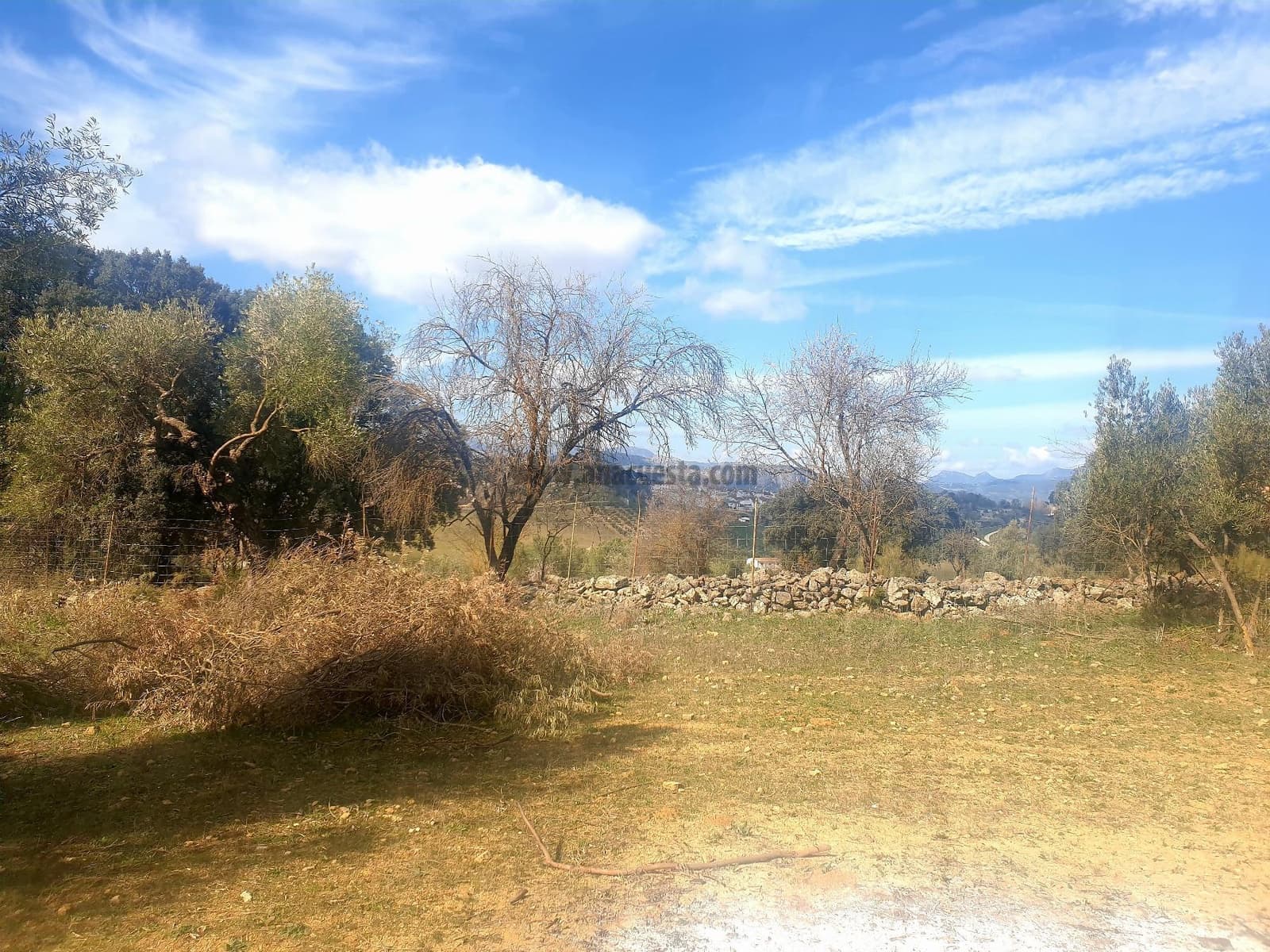 Rakentamaton maa myytävänä paikassa Ronda - 195 000 € (Ref: 9234876)