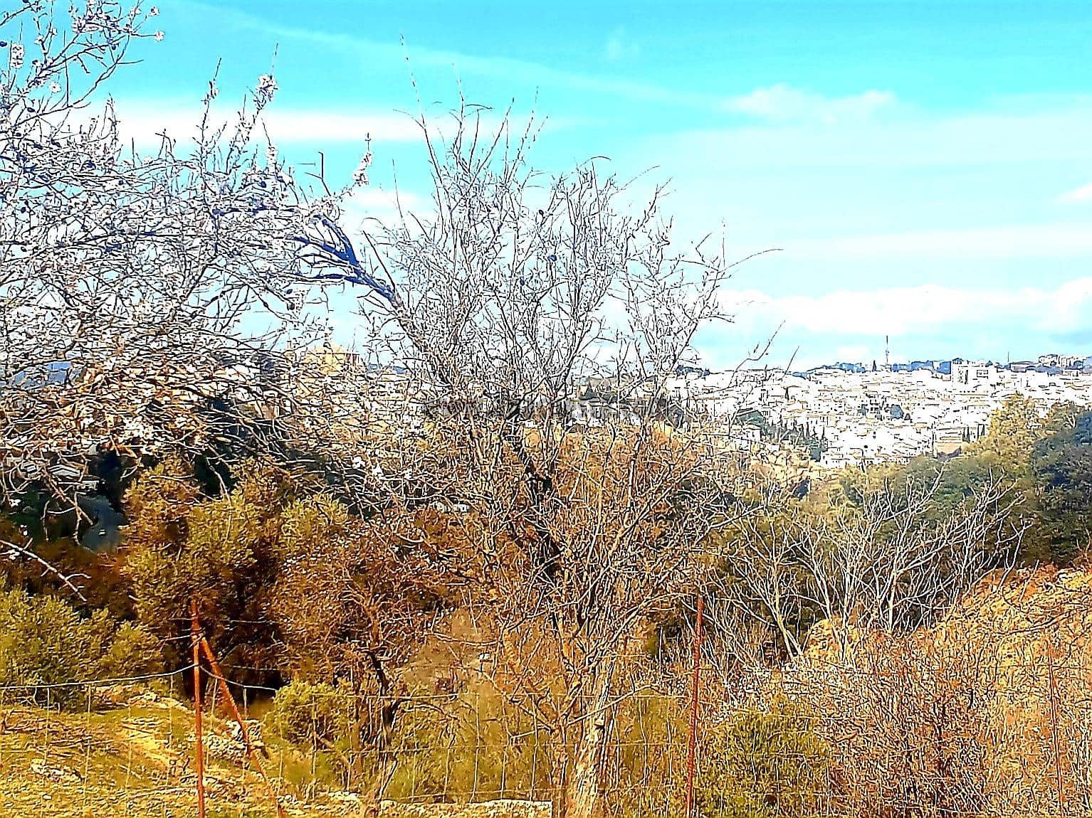 Rakentamaton maa myytävänä paikassa Ronda - 195 000 € (Ref: 9234876)