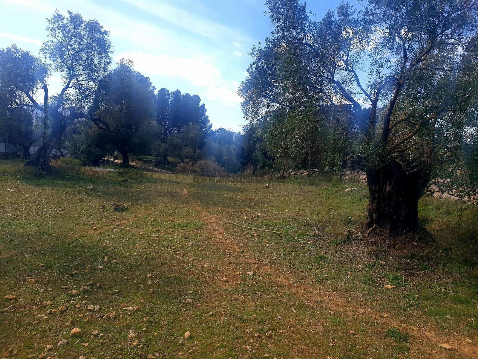 Rakentamaton maa myytävänä paikassa Ronda - 195 000 € (Ref: 9234876)