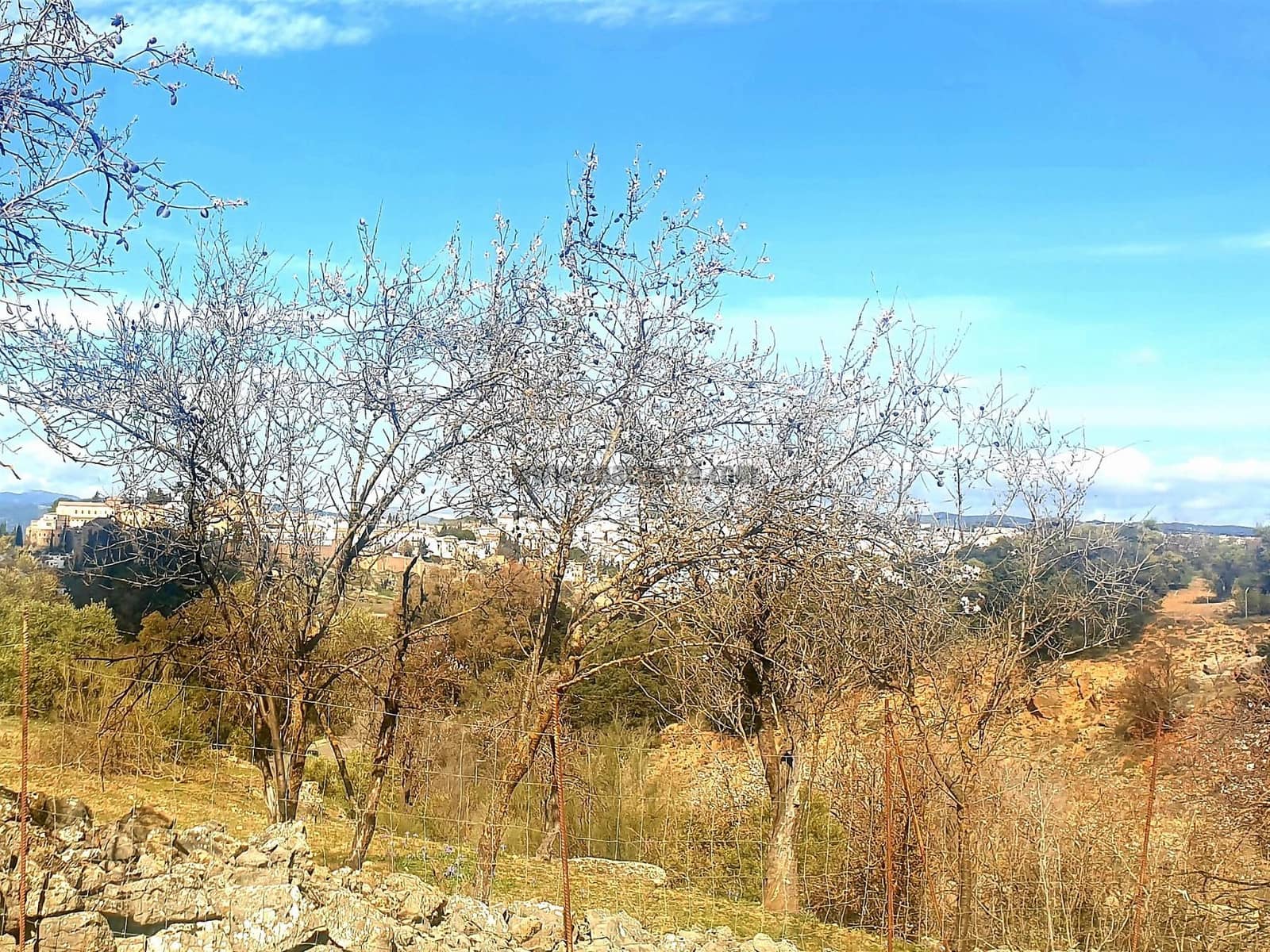 Rakentamaton maa myytävänä paikassa Ronda - 195 000 € (Ref: 9234876)