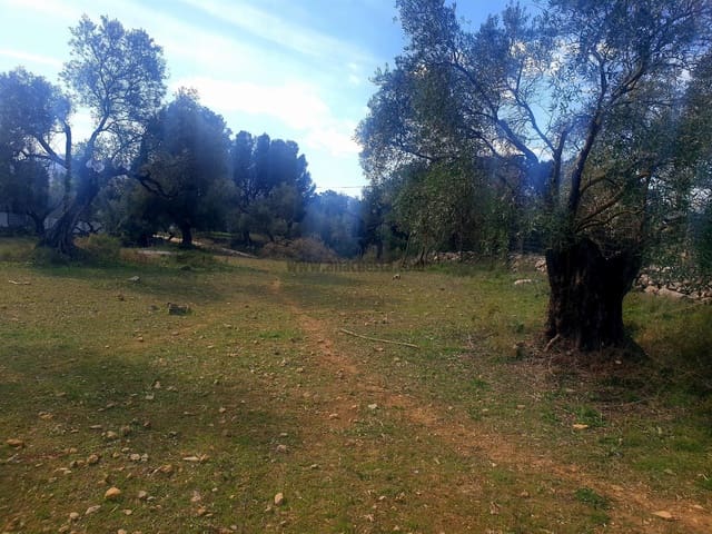 Ubebygd land til salgs i Ronda - € 195 000 (Ref: 9234876)