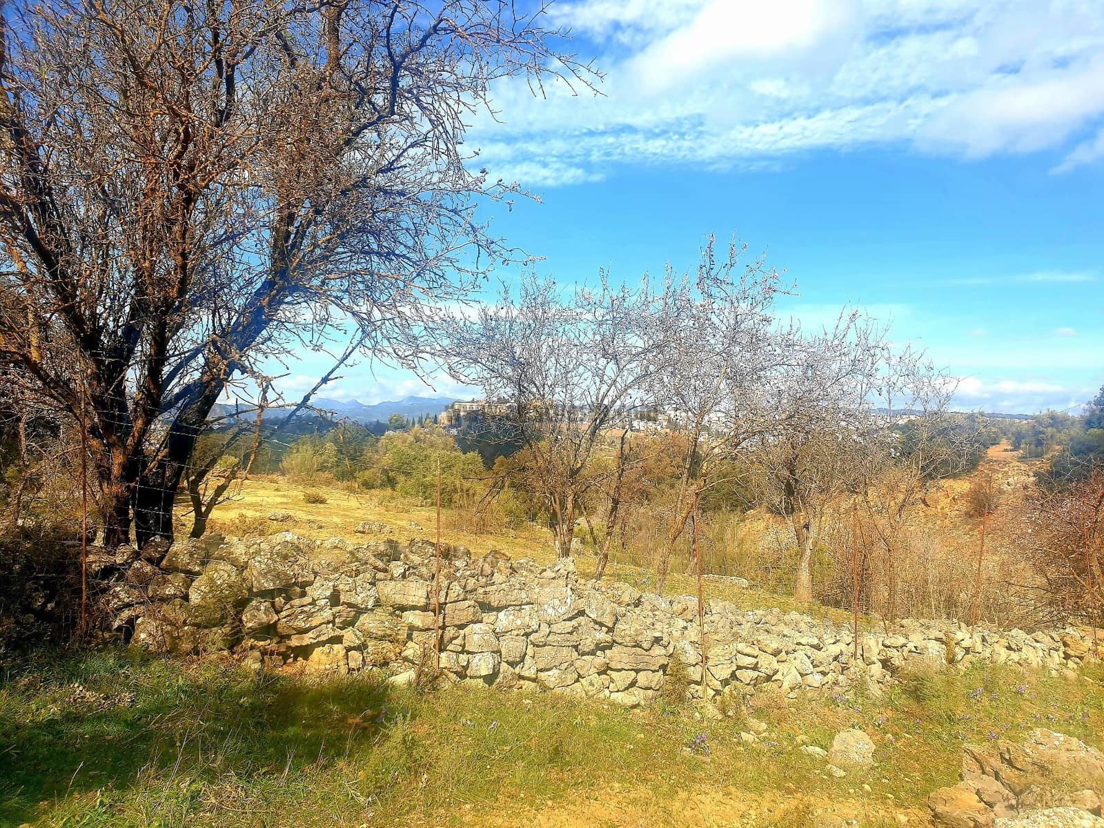 Rakentamaton maa myytävänä paikassa Ronda - 195 000 € (Ref: 9234876)