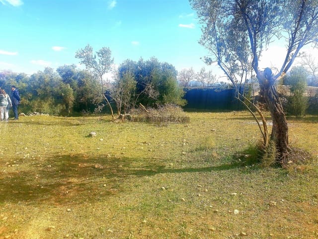 Ubebygd land til salgs i Ronda - € 195 000 (Ref: 9234876)