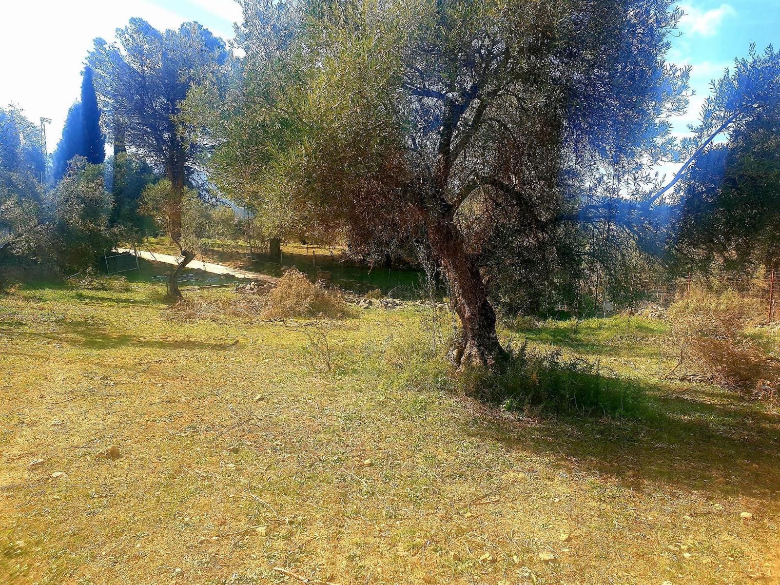 Rakentamaton maa myytävänä paikassa Ronda - 195 000 € (Ref: 9234876)